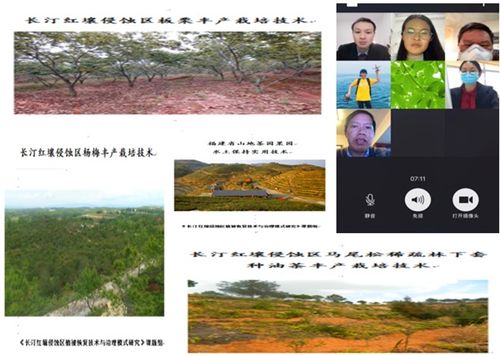 抗疫情助三农 福建农林大学助力疫情防控期间农业生产