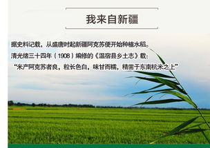 西域良仓 新疆特产越光大米 温宿金田源一级大米