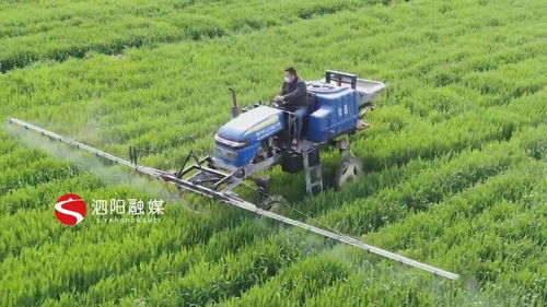 泗阳 变废为宝，啃下农业面源污染治理“硬骨头”