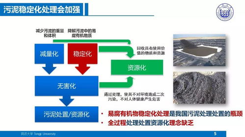 面向污水厂提质增效的污泥处理处置技术方向及农业面源与重金属污染防治技术服务