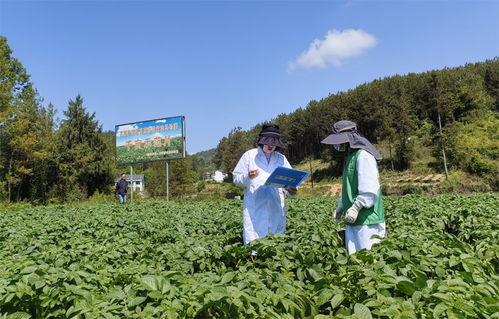 万源硒科助农结硕果，富硒产业发展与环保双赢